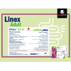 LINEX ADULT PROBIO-TEC AB BLEND-64 60MG ( LACTOBACILLUS ACIDOPHILUS + BIFIDOBACTERIUM ANIMALS SUBSP. LACTIS ) 14 HARD CAPSULES LINEX ADULT PROBIO-TEC AB BLEND-64 60MG ( LACTOBACILLUS ACIDOPHILUS + BIFIDOBACTERIUM ANIMALS SUBSP. LACTIS ) 14 HARD CAPSULES